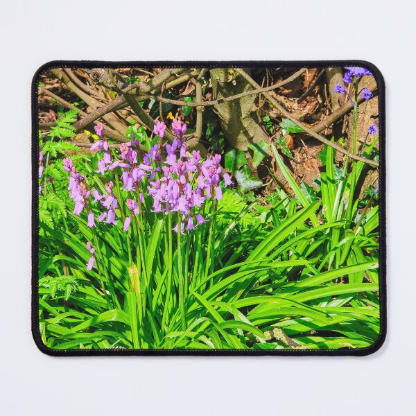 Item preview, Panorama crop of different coloured Bluebells designed and sold by Violaman.