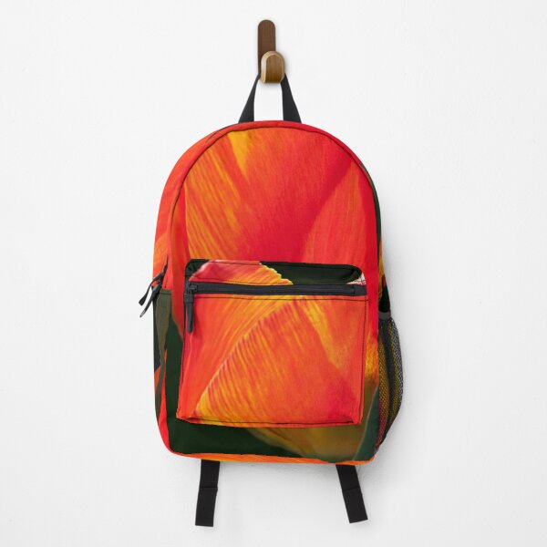 Item preview, Backlit orange and yellow tulip square composition designed and sold by lisavonbiela.