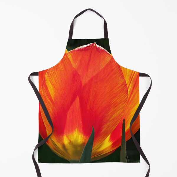 Item preview, Backlit orange and yellow tulip square composition designed and sold by lisavonbiela.