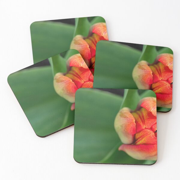 Item preview, Closeup of tip of tulip bud designed and sold by lisavonbiela.