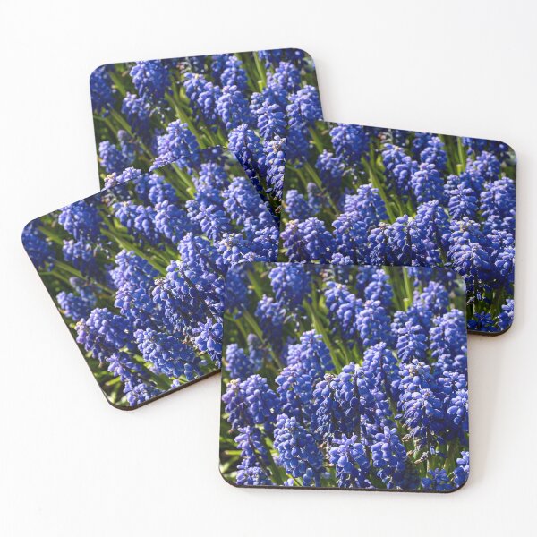 Item preview, Grape Hyacinth blooming in the spring sun designed and sold by lisavonbiela.