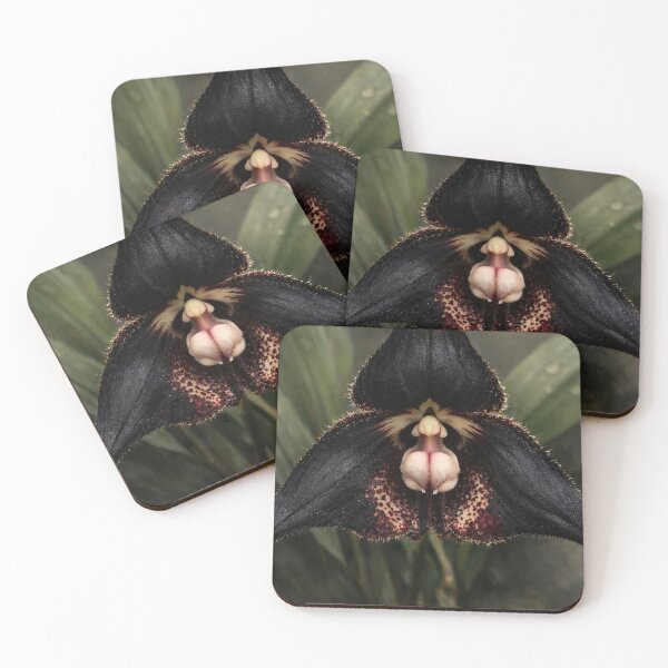 Artikelvorschau, Dracula-Orchideenblüte entworfen und verkauft von scicilysimonee.