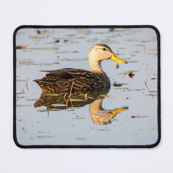 Item preview, Mottled Duck Reflecting on the Pond designed and sold by Debra Martz.