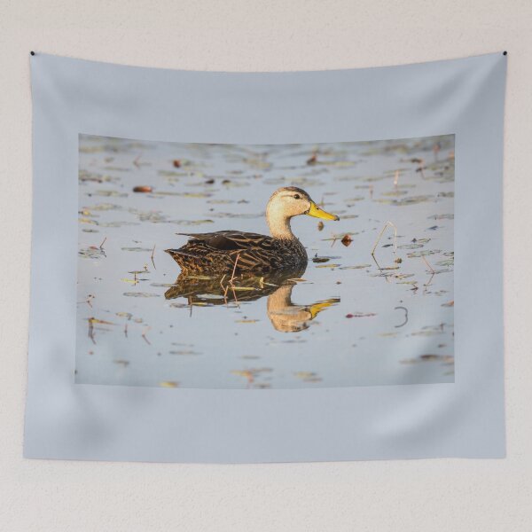 Item preview, Mottled Duck Reflecting on the Pond designed and sold by Debra Martz.