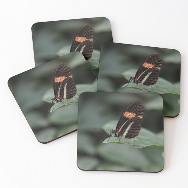 Item preview, Heliconius Doris designed and sold by MS.photo.