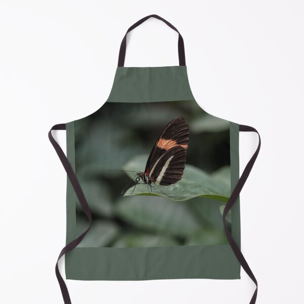 Item preview, Heliconius Doris designed and sold by MS.photo.