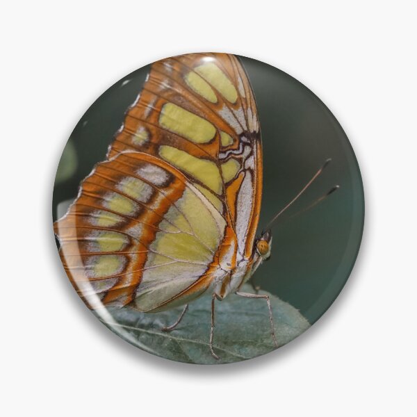 Item preview, Malachite designed and sold by MS.photo.