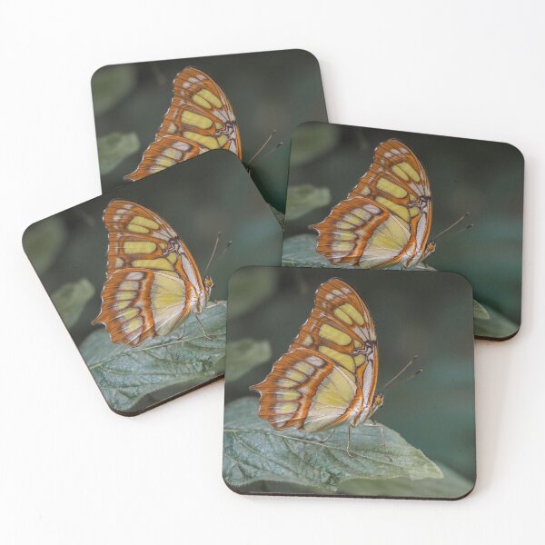 Item preview, Malachite designed and sold by MS.photo.