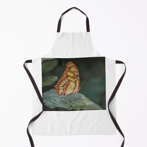 Item preview, Malachite designed and sold by MS.photo.