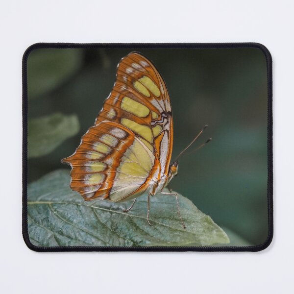 Item preview, Malachite designed and sold by MS.photo.