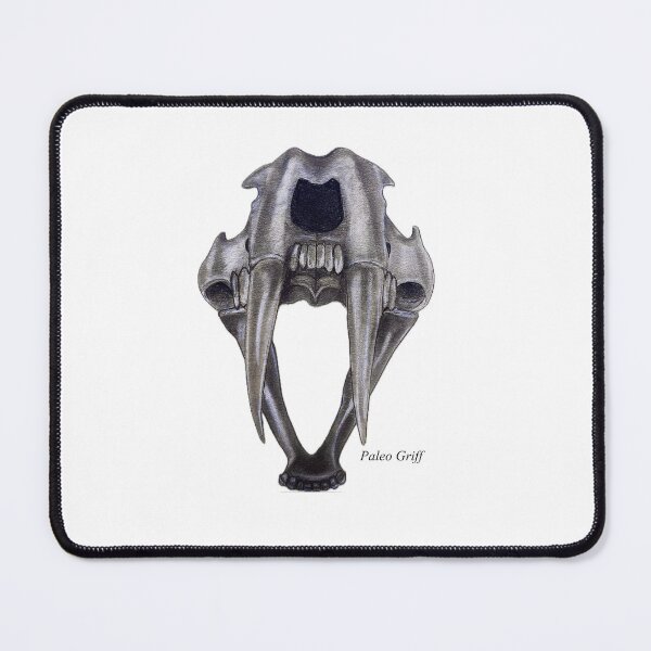 Item preview, S. populator skull - Sabre-tooth cat scientific illustration designed and sold by Paleo Griff.