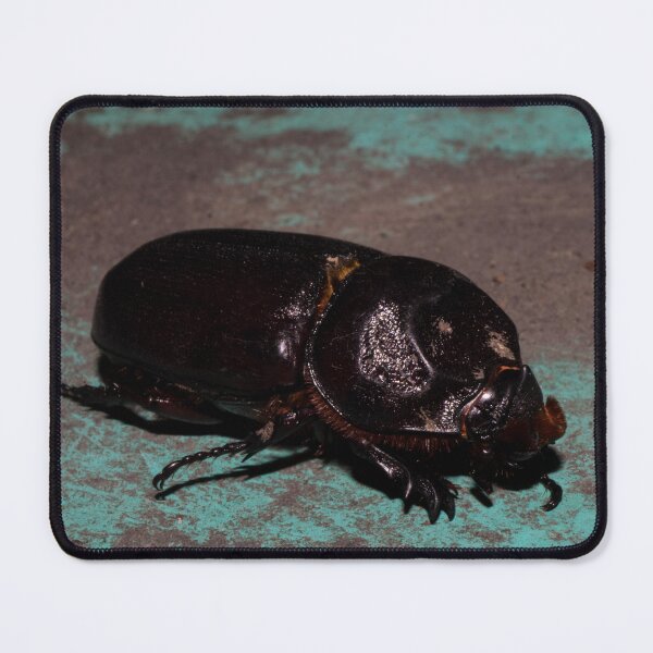 Item preview, coconut rhinoceros beetle designed and sold by ROSE ANN BANILAR.