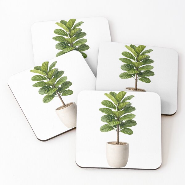 Item preview, Fiddle Leaf Fig Plant Decor designed and sold by Sksticker991.