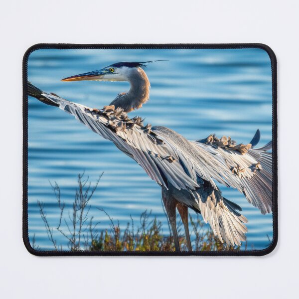 Item preview, Great Blue Heron with Wings Spread by Water | Wildlife Bird Photography designed and sold by TheHikersEye.