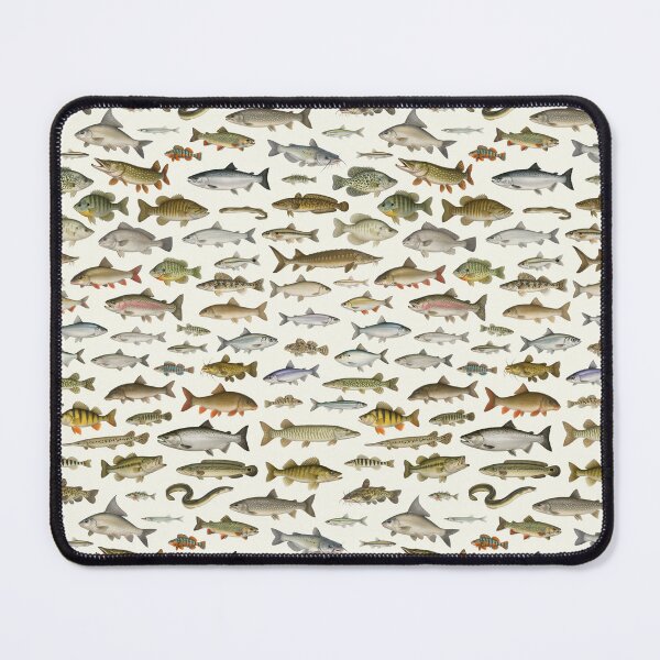 Item preview, Fishes of the Great Lakes Retro Identification Chart designed and sold by kakarikihill.