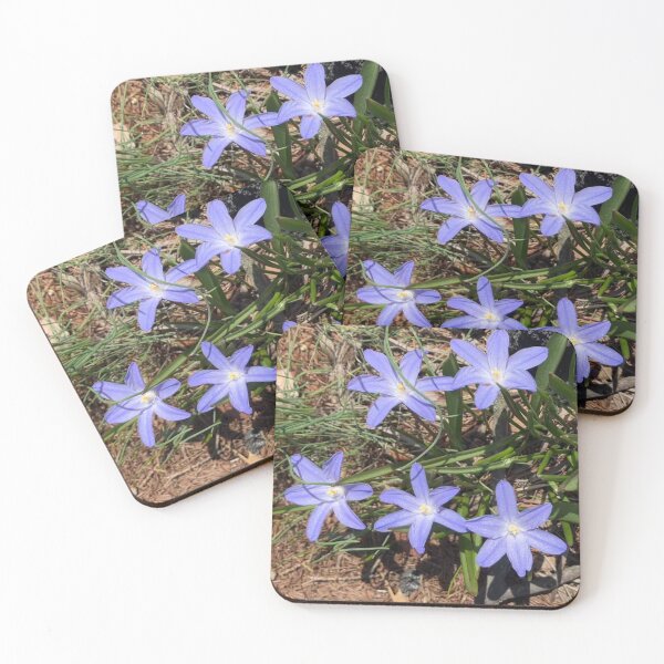 Item preview, Glory-of-the-snow designed and sold by Amanda1775.