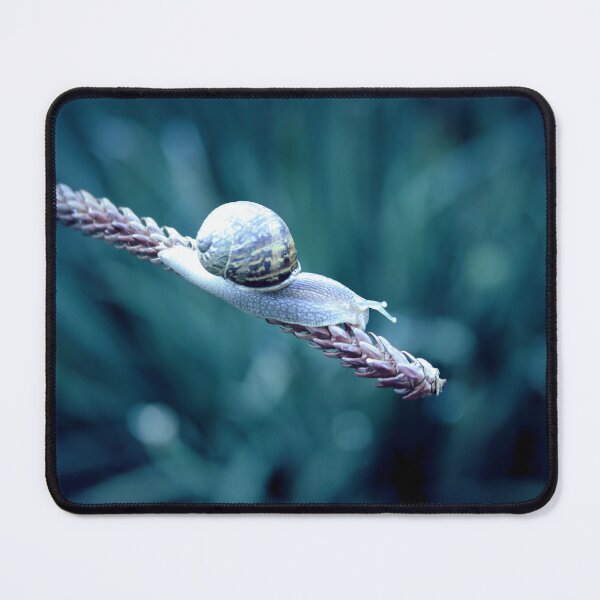 Item preview, EVENING WALK designed and sold by Marianna Tankelevich.