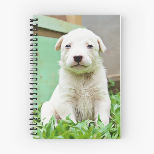 Item preview, Un cachorro blanco sentado en la exuberante hierba verde. designed and sold by ZoroDesign.