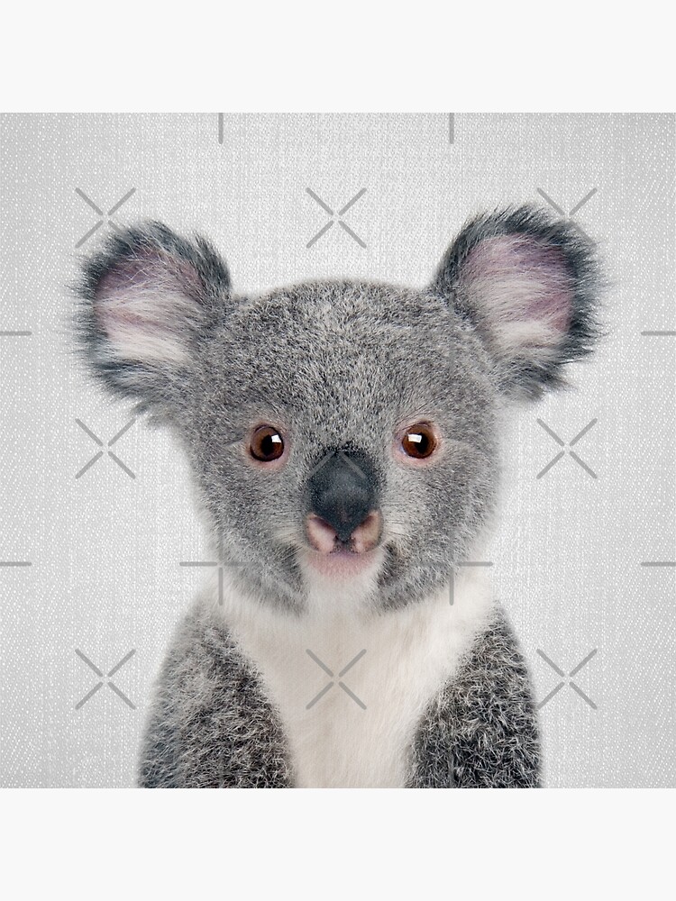 Baby Koala - Colorido de galdesign
