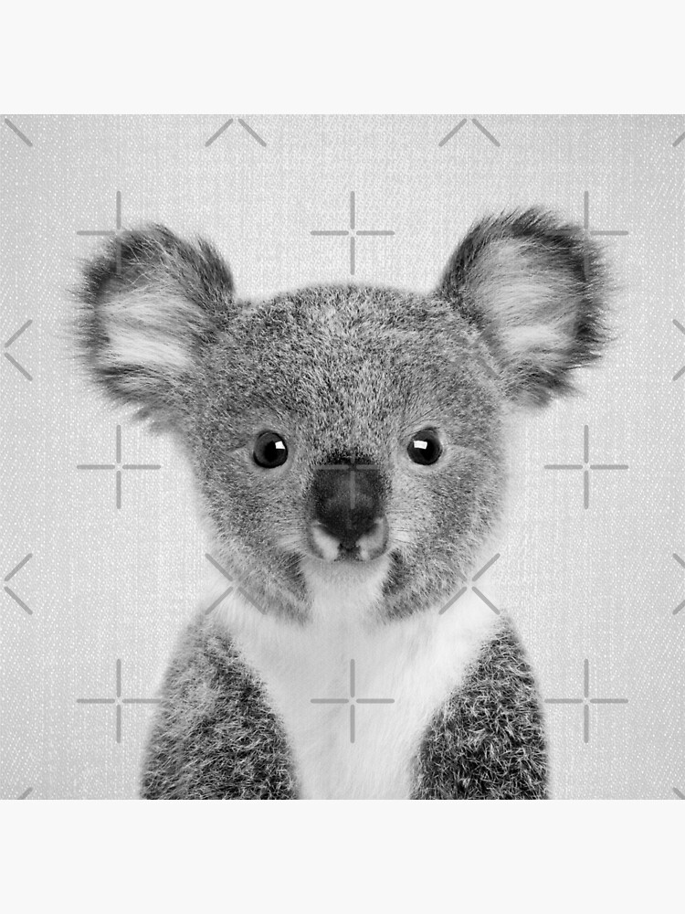 Impression Rigide Koala Bebe Noir Blanc Par Galdesign Redbubble