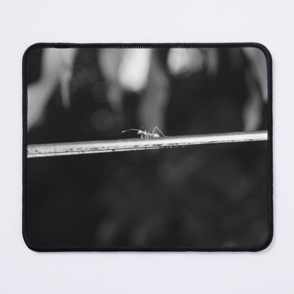 Item preview, B&W - Weaver Ant designed and sold by ROSE ANN BANILAR.