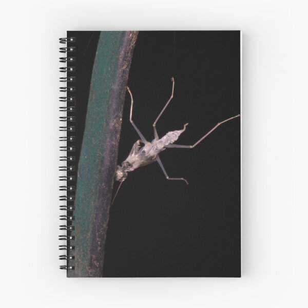 Item preview, Mantis Exoskeleton designed and sold by ROSE ANN BANILAR.