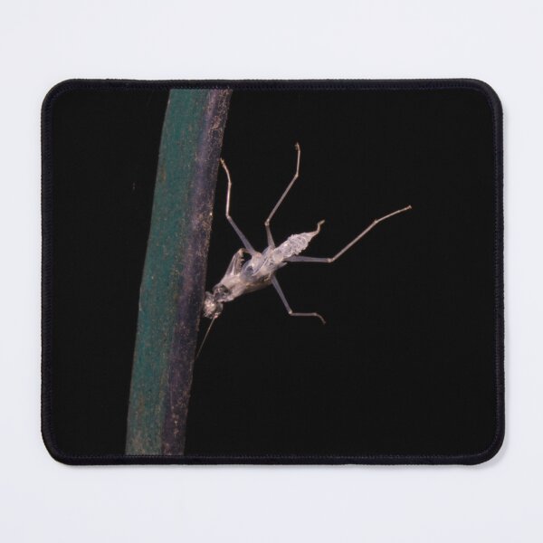 Item preview, Mantis Exoskeleton designed and sold by ROSE ANN BANILAR.