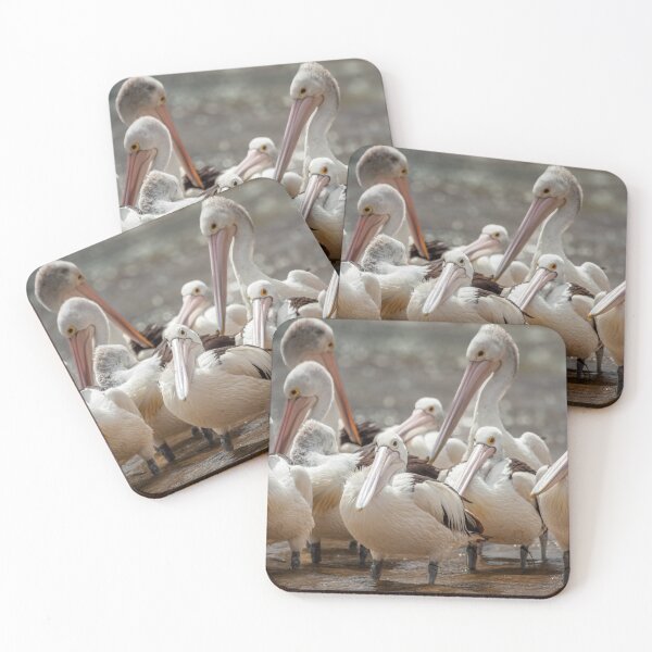 Item preview, Pelican Family designed and sold by GaryParnell.