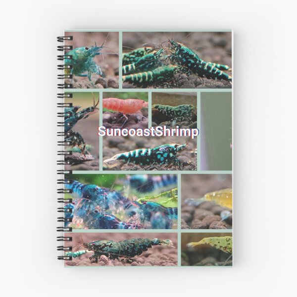 Item preview, Caridina Shrimp photos  designed and sold by SuncoastShrimp.