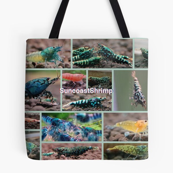 Item preview, Caridina Shrimp photos  designed and sold by SuncoastShrimp.