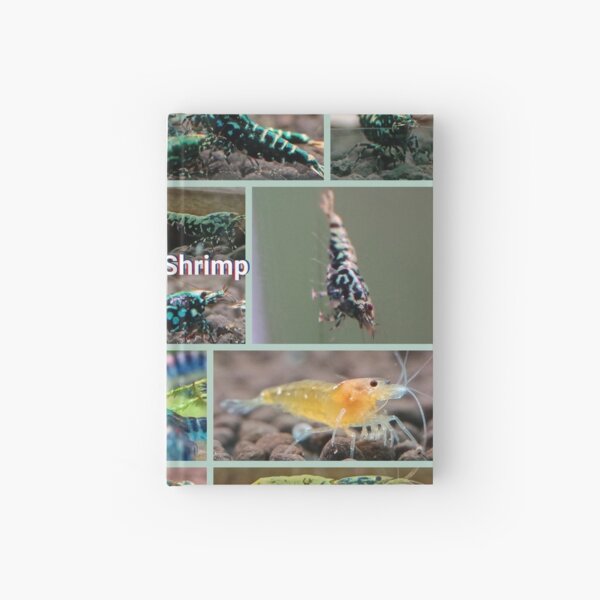 Item preview, Caridina Shrimp photos  designed and sold by SuncoastShrimp.
