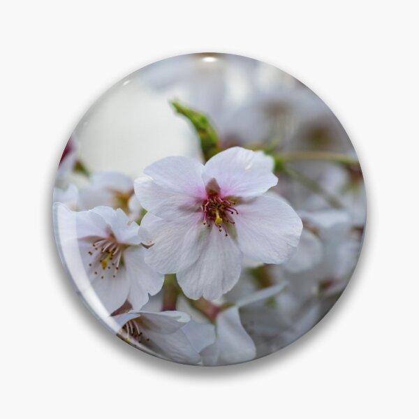 Item preview, Sakura designed and sold by Keola Makaiau.