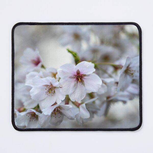 Item preview, Sakura designed and sold by Keola Makaiau.