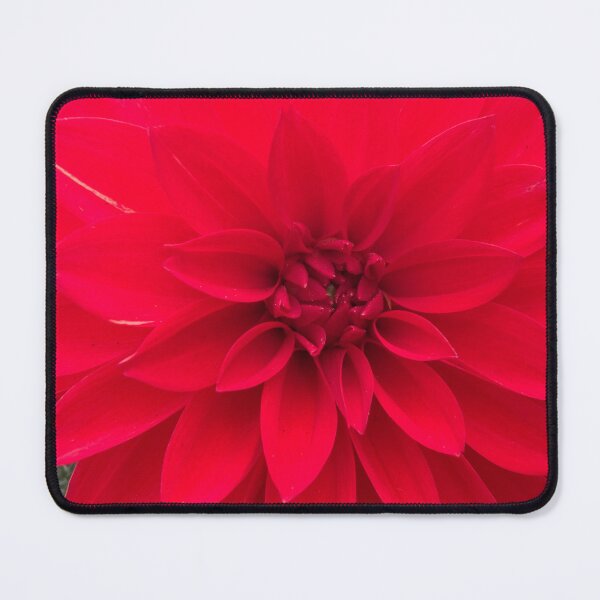 Item preview, Dahlia Magic designed and sold by Betsy Phillips.