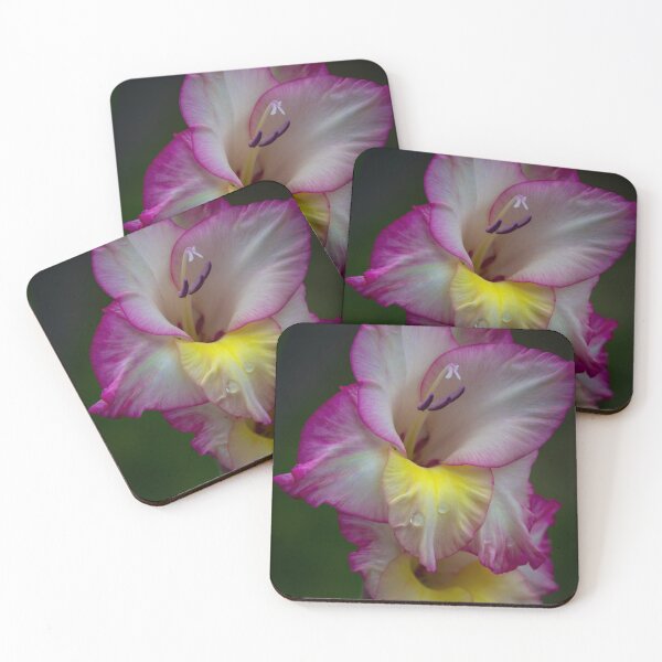 Item preview, Fresh Droplets on the Petal designed and sold by Jordan-K-Photo.