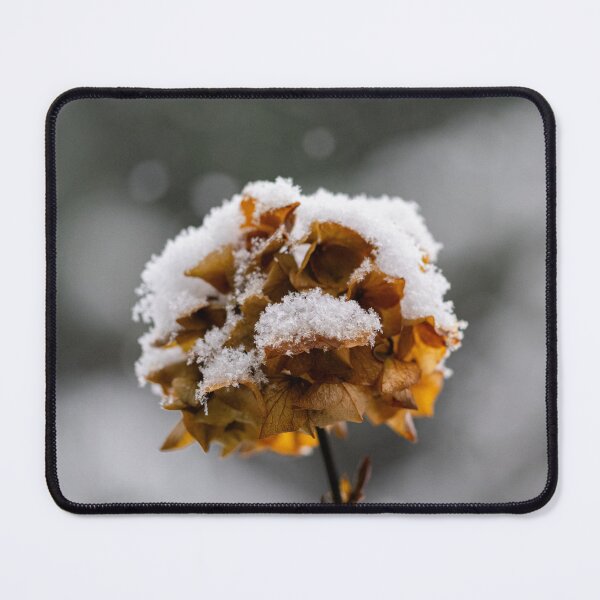 Item preview, In the Dead of Winter designed and sold by Jordan-K-Photo.