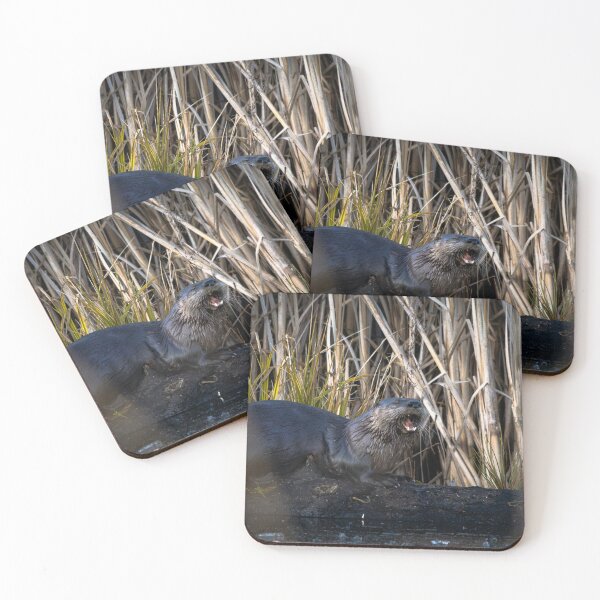 Item preview, Mid-Swim Snack designed and sold by Jordan-K-Photo.