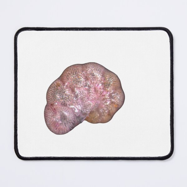 Item preview, Pink foram  designed and sold by A grain of sand.