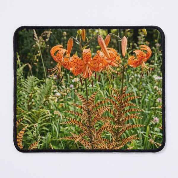 Item preview, Tiger Lillies designed and sold by The King's general goods.