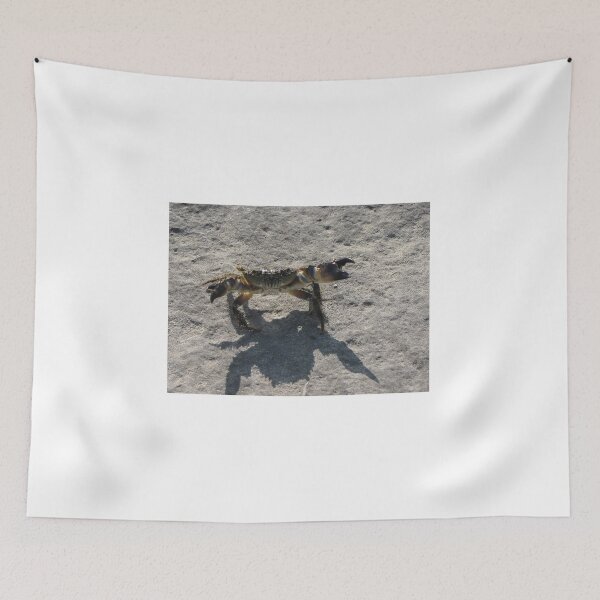 Item preview, Sunlit Shore Crab Walking on Rock Casting Strong Shadow in Coastal Close-Up Landscape designed and sold by Nmallia.