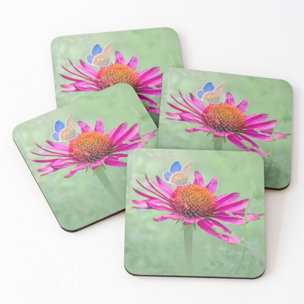 Item preview, Common blue butterfly perched on an Echinacea flower designed and sold by Mihaela Limberea.