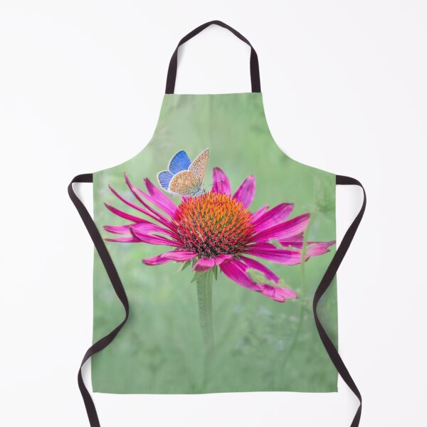 Item preview, Common blue butterfly perched on an Echinacea flower designed and sold by Mihaela Limberea.