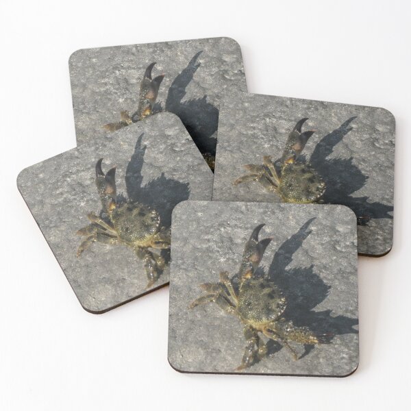 Item preview, Sunlit Shore Crab Walking on Rock Casting Strong Shadow in Coastal Close-Up Landscape designed and sold by Nmallia.