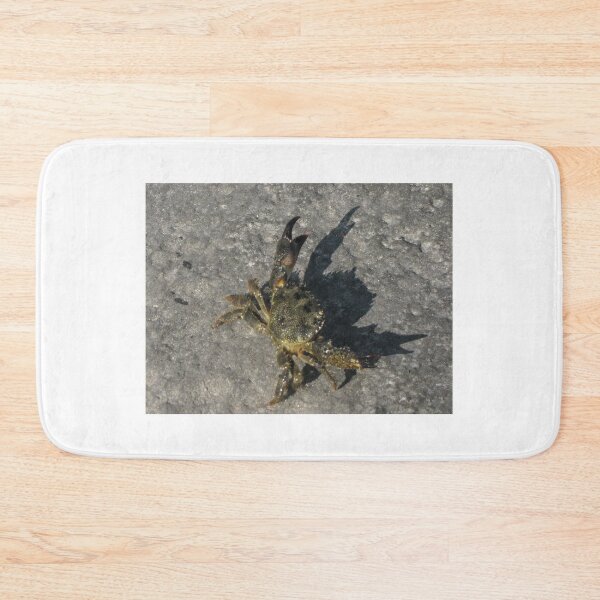 Item preview, Sunlit Shore Crab Walking on Rock Casting Strong Shadow in Coastal Close-Up Landscape designed and sold by Nmallia.