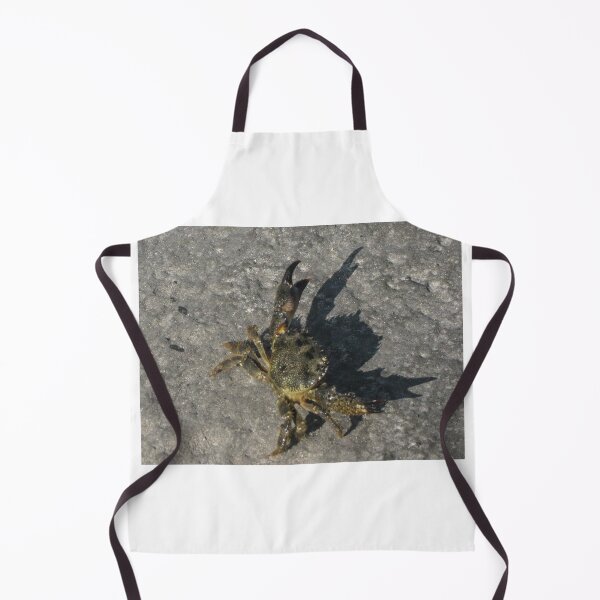 Item preview, Sunlit Shore Crab Walking on Rock Casting Strong Shadow in Coastal Close-Up Landscape designed and sold by Nmallia.