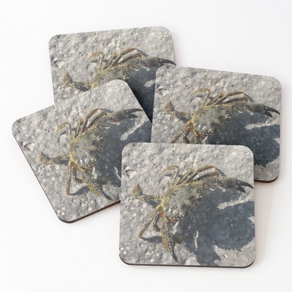 Item preview, Sunlit Shore Crab Walking on Rock Casting Strong Shadow in Coastal Close-Up Landscape designed and sold by Nmallia.
