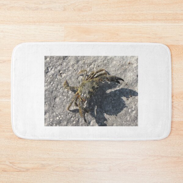 Item preview, Sunlit Shore Crab Walking on Rock Casting Strong Shadow in Coastal Close-Up Landscape designed and sold by Nmallia.