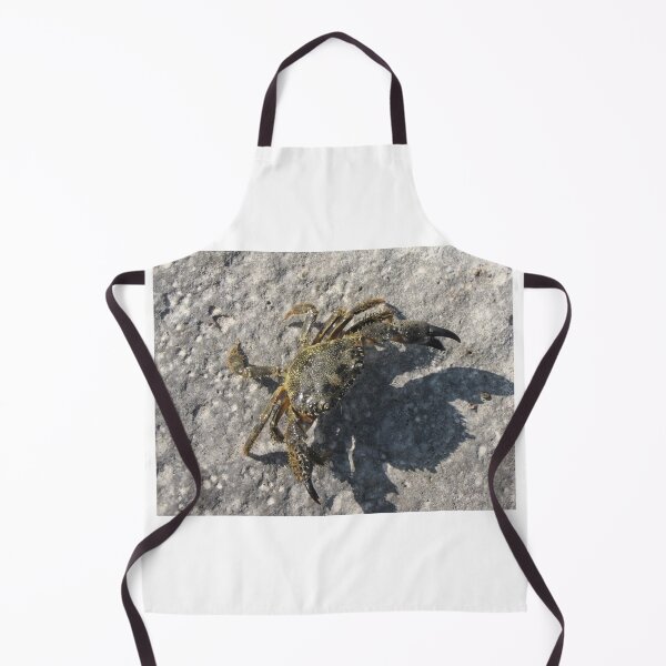Item preview, Sunlit Shore Crab Walking on Rock Casting Strong Shadow in Coastal Close-Up Landscape designed and sold by Nmallia.