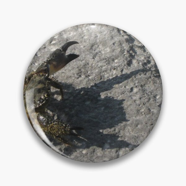 Item preview, Sunlit Shore Crab Walking on Rock Casting Strong Shadow in Coastal Close-Up Landscape designed and sold by Nmallia.