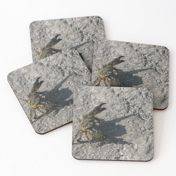 Item preview, Sunlit Shore Crab Walking on Rock Casting Strong Shadow in Coastal Close-Up Landscape designed and sold by Nmallia.